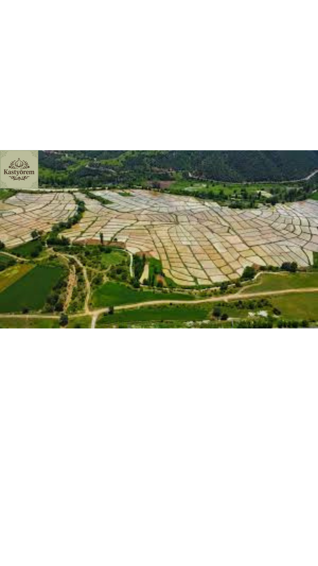 Kastyörem Meşhur Tosya Osmancık Pirinci